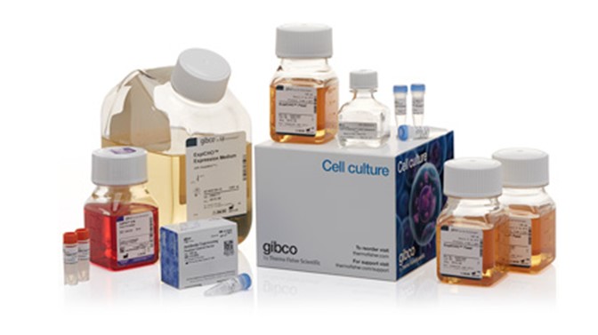 ExpiCHO? Expression System Kit