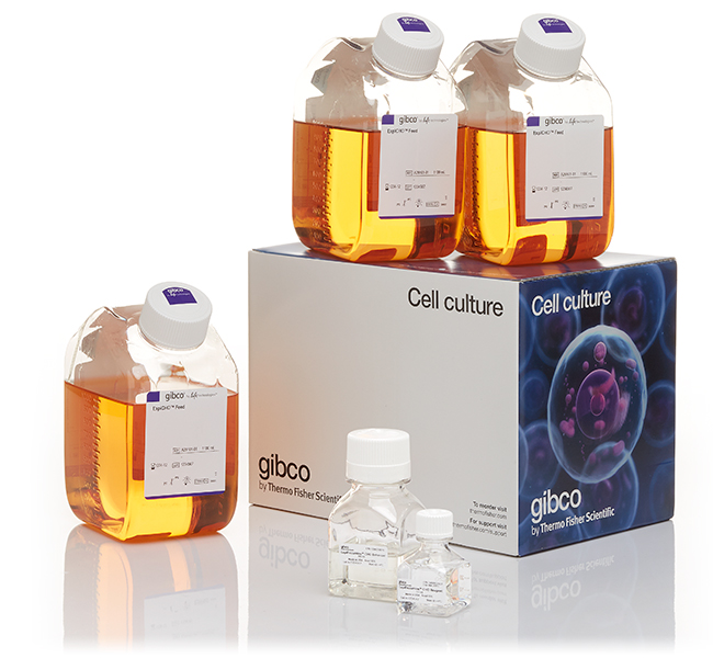 ExpiFectamine? CHO Transfection Kit, for 10 L of culture