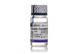 Insulin, Transferrin, Selenium Solution (ITS -G), 100X
