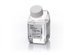 UltraPure? DNase/RNase-Free Distilled Water