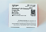 Gateway? LR Clonase? II Enzyme mix