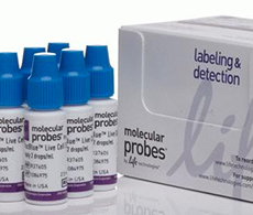 ReadyProbes? 即用型成像試劑
