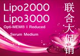 Lipo2K&3K、血清培養(yǎng)基聯(lián)合促銷